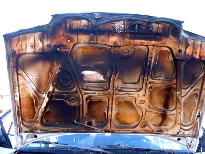 Toms 1991 4 doorr civic project 014.jpg